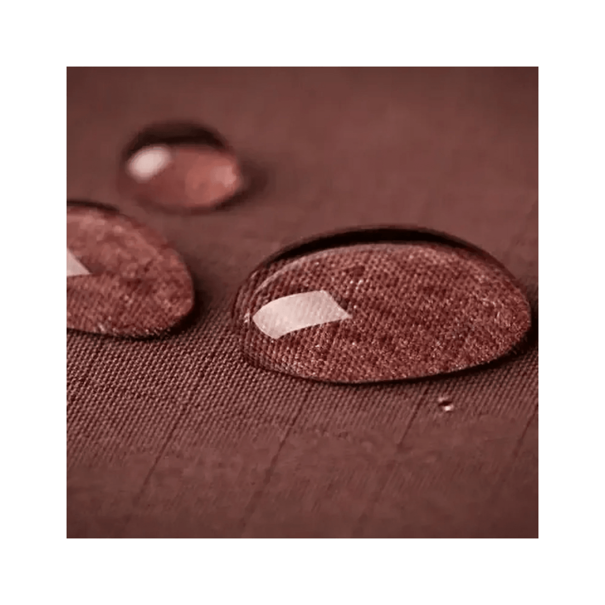 Shoe Water & Stain Protection