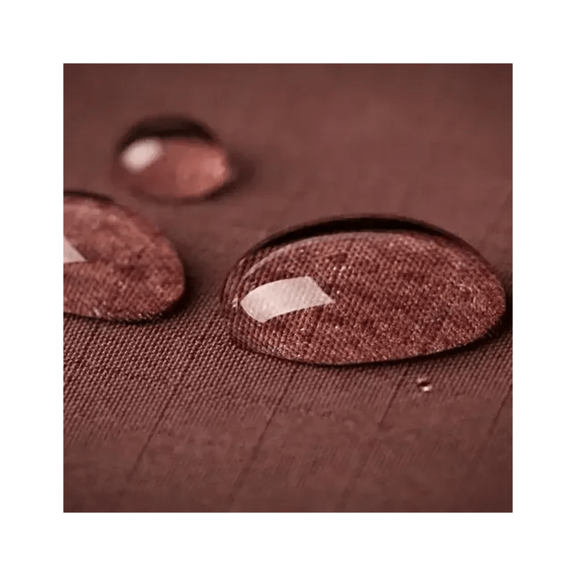 Shoe Water & Stain Protection