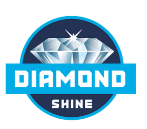 Diamond Shine Shower & Tub Cleaner / Drill Brush Combo Set –  DiamondShineCleaner