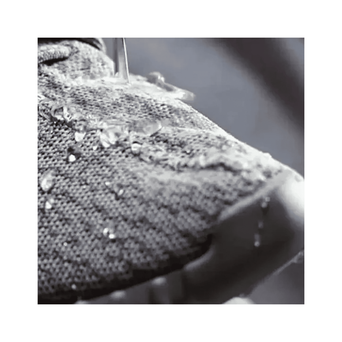 Shoe Water & Stain Protection