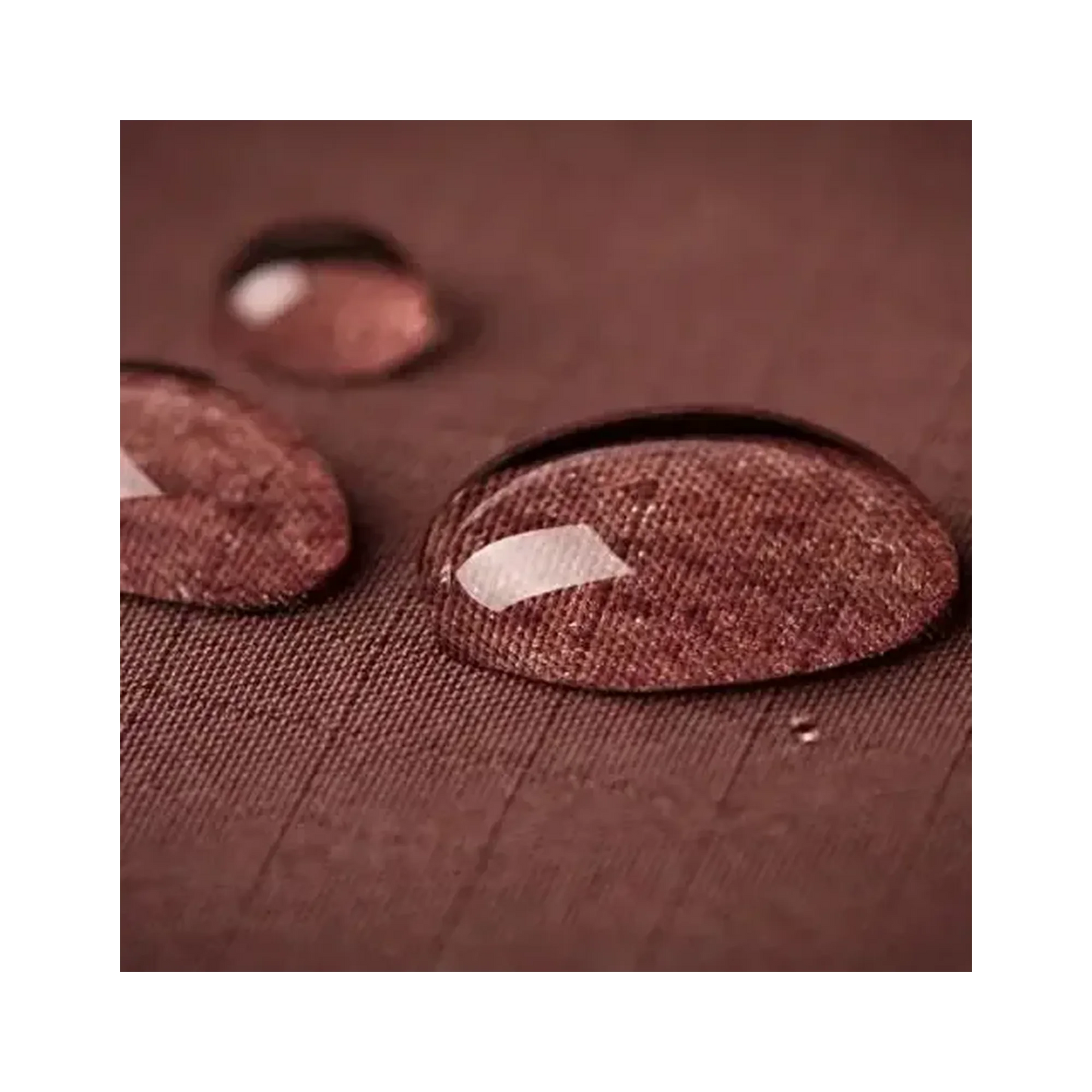Shoe Water & Stain Protection