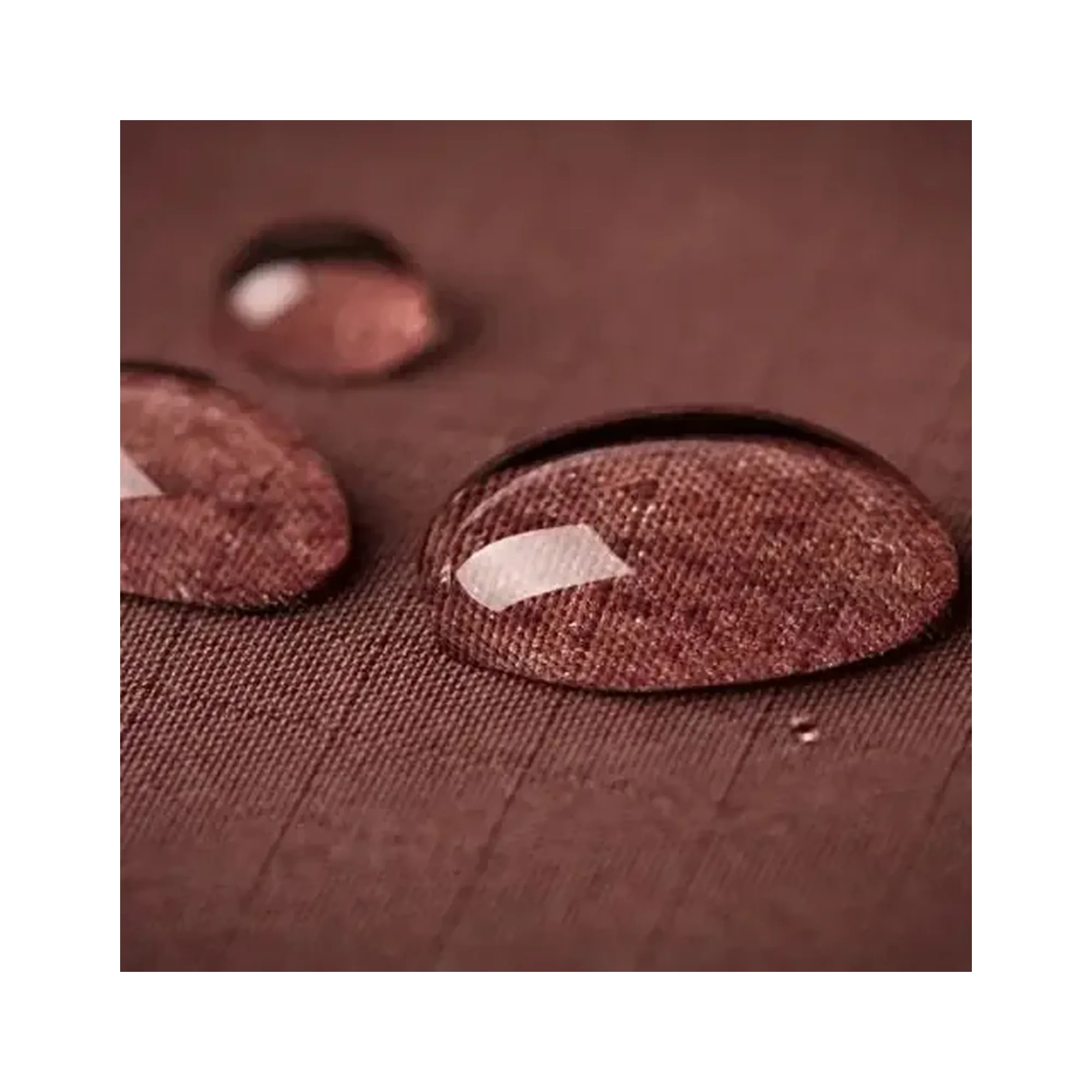 Shoe Water & Stain Protection